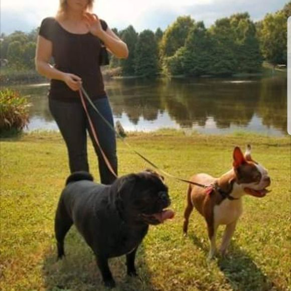 Meet your Posher, Jessica - Picture 1 of 1